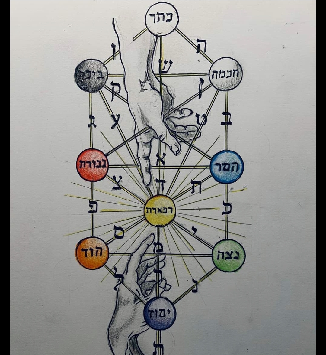 the tree of life